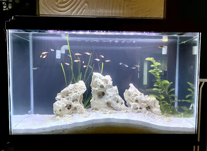 Petco Picture 1