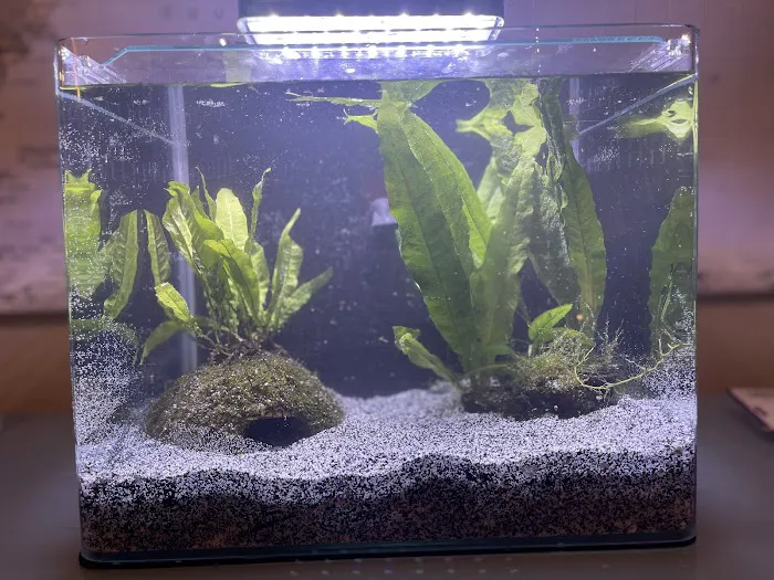 Petco Picture 8