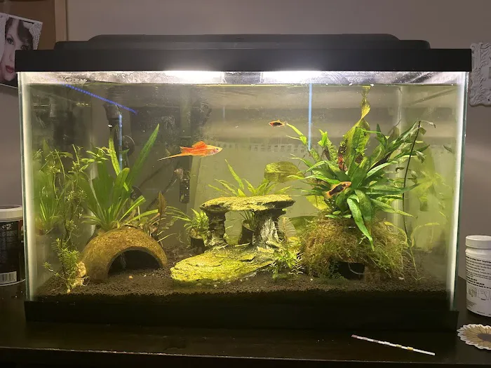 Petco Picture 10