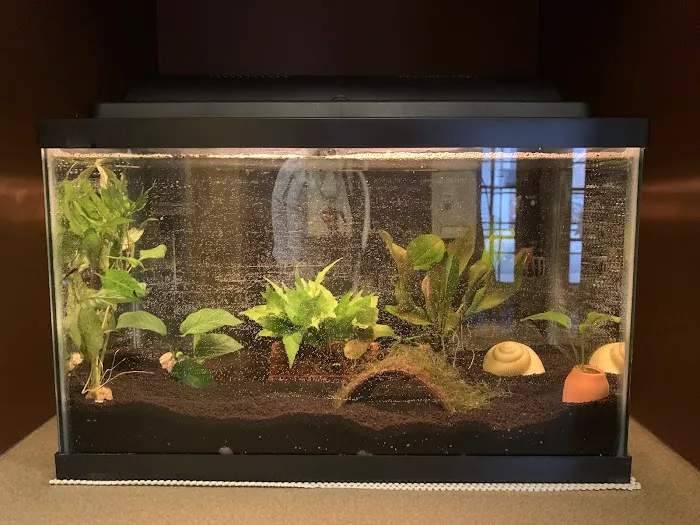 Petco Picture 5
