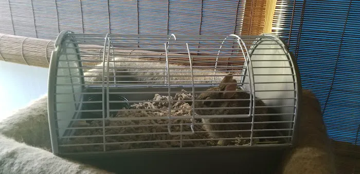Petco Picture 9