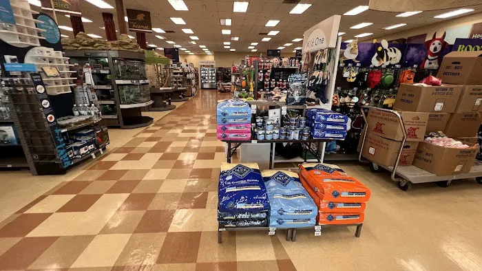 Petco Picture 7
