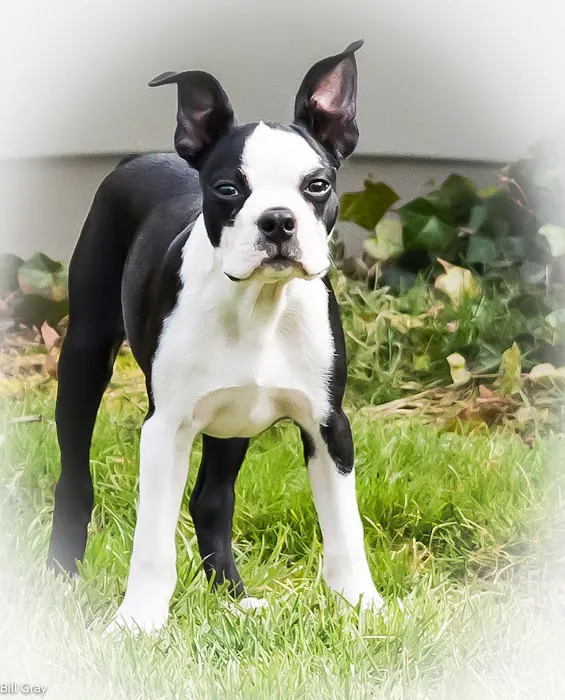 Aldrich Animal Hospital Picture 2