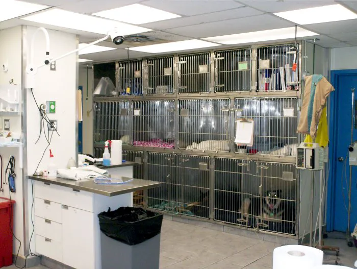 Aldrich Animal Hospital Picture 7