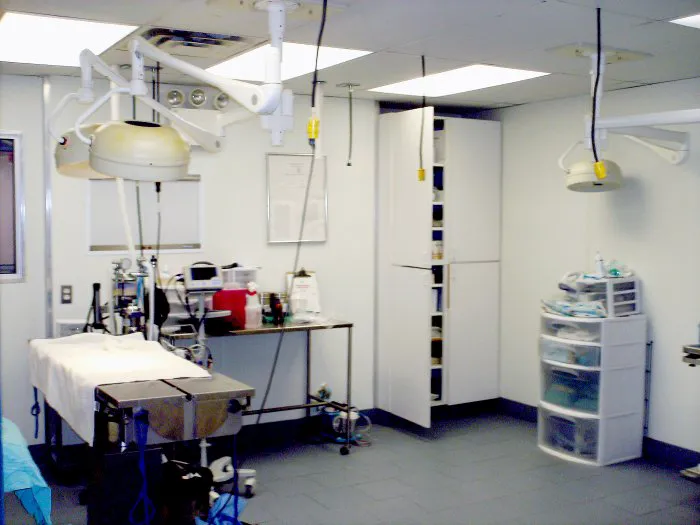 Aldrich Animal Hospital Picture 8