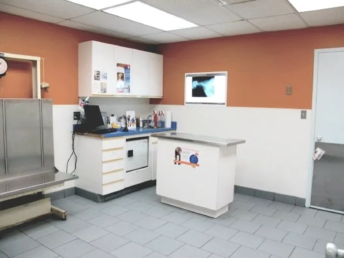 Aldrich Animal Hospital Picture 5
