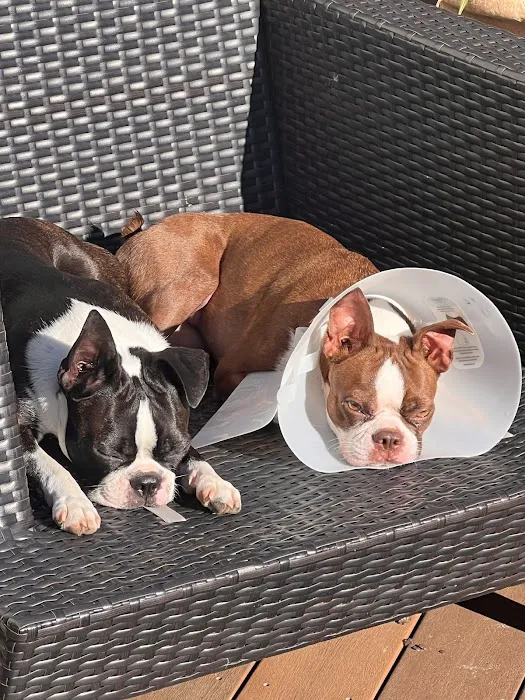 Aldrich Animal Hospital Picture 10