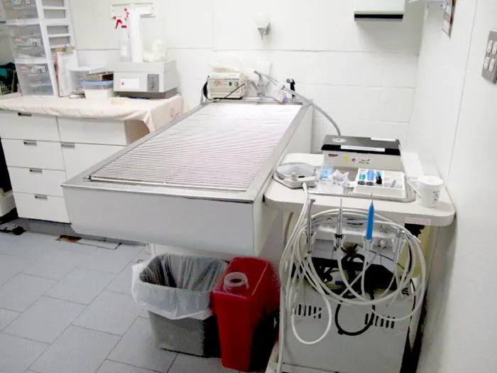 Aldrich Animal Hospital Picture 9