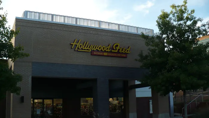 Hollywood Feed Picture 5