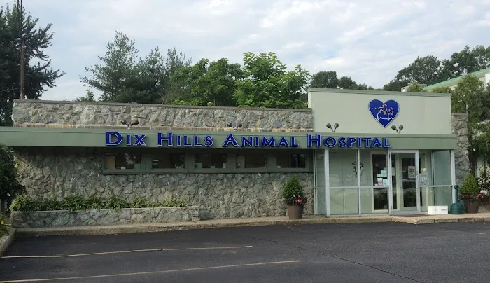 Dix Hills Animal Hospital Picture 1