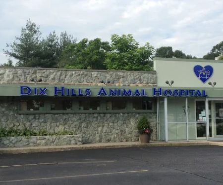Dix Hills Animal Hospital