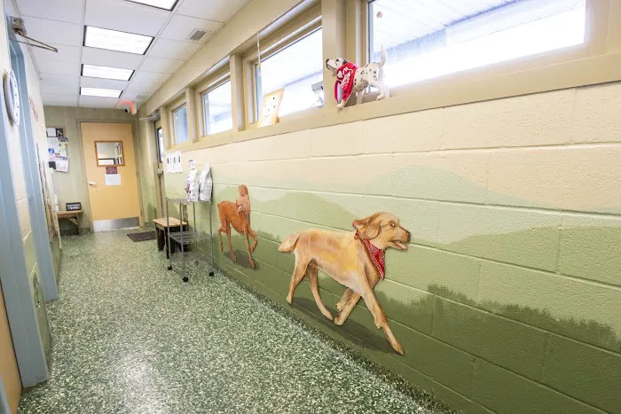Dix Hills Animal Hospital Picture 10
