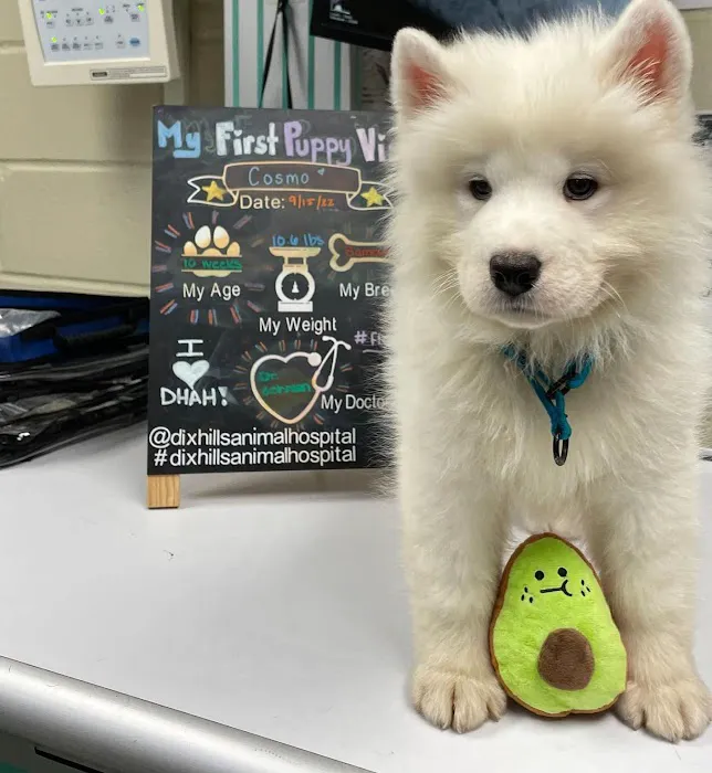Dix Hills Animal Hospital Picture 9