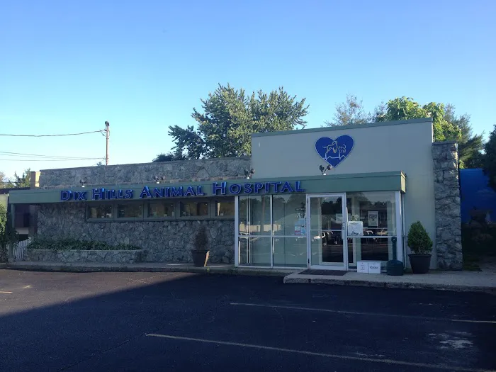 Dix Hills Animal Hospital Picture 2