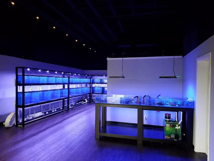 7 Seas Aquatics LLC Picture 3