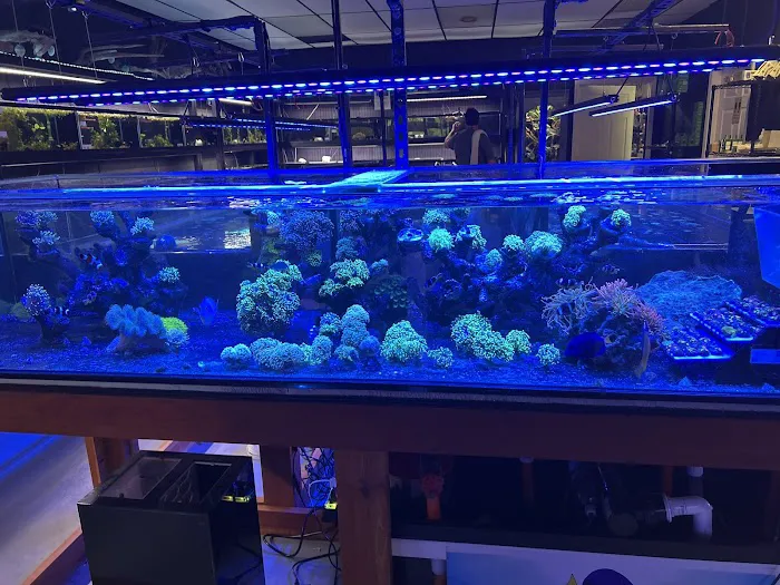 7 Seas Aquatics LLC Picture 8