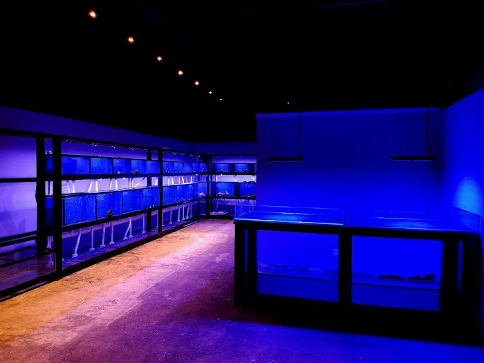 7 Seas Aquatics LLC Picture 7
