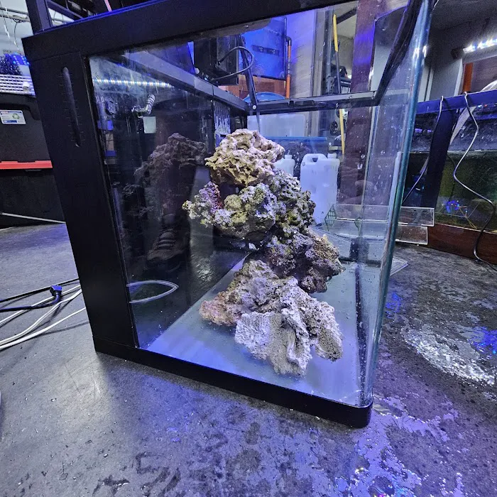 7 Seas Aquatics LLC Picture 10