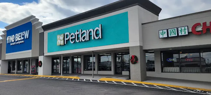 Petland Nashville Picture 2