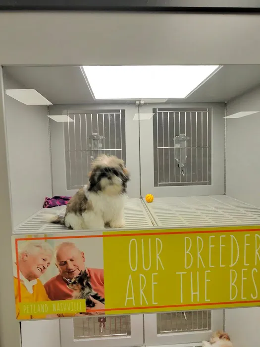 Petland Nashville Picture 1