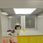 Petland Nashville