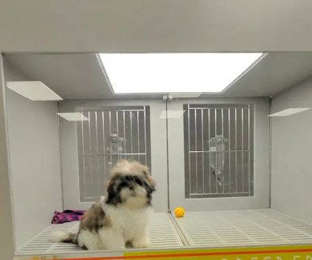 Petland Nashville