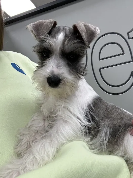 Petland Nashville Picture 7