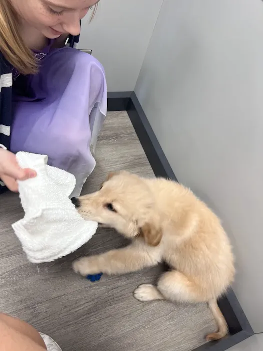 Petland Nashville Picture 4