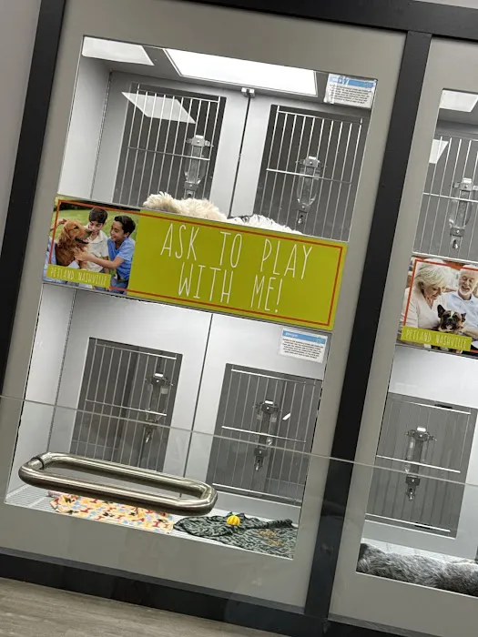 Petland Nashville Picture 8