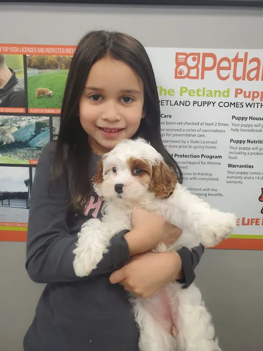 Petland Nashville Picture 9