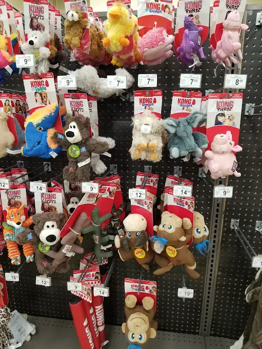 Petco Picture 4