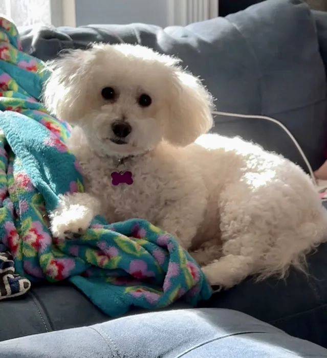 Petco Picture 6