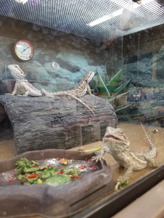 Petco Picture 2