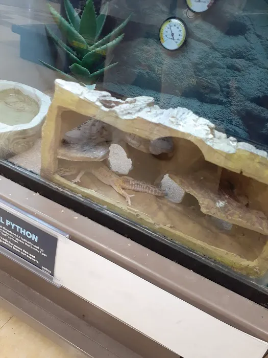 Petco Picture 8