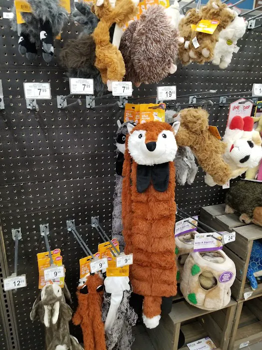 Petco Picture 3