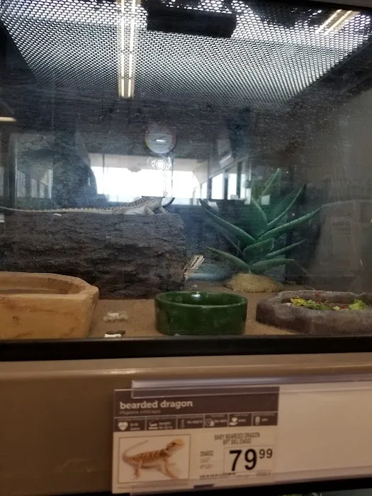 Petco Picture 10