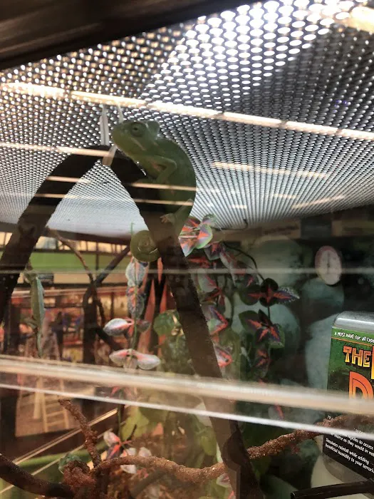 Petco Picture 7