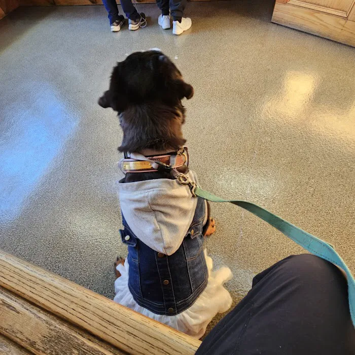 North Shore Veterinary Hospital Picture 10