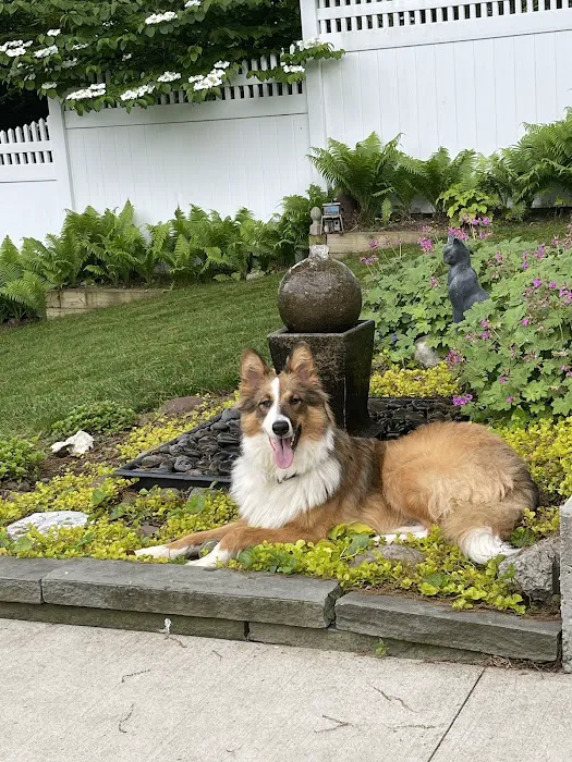North Shore Veterinary Hospital Picture 8