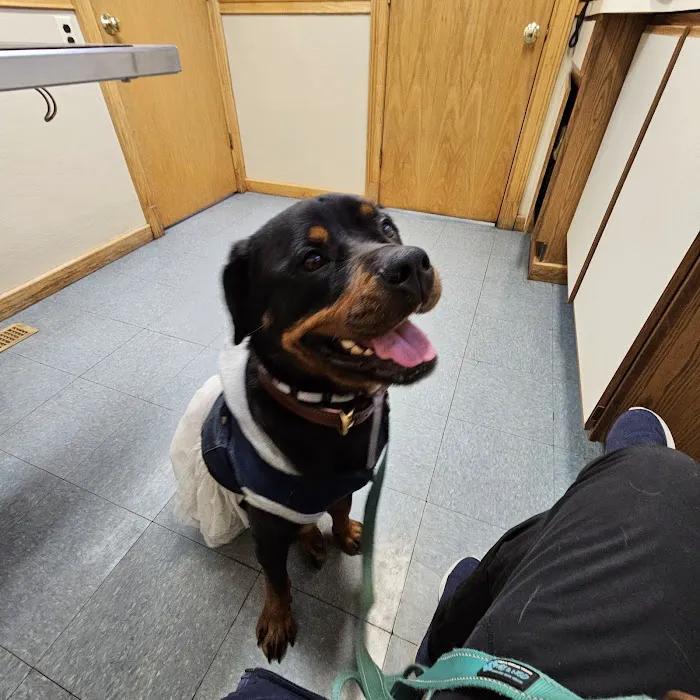 North Shore Veterinary Hospital Picture 6