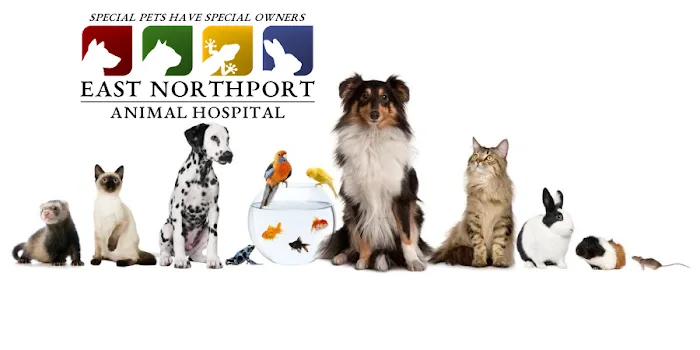 East Northport Animal Hospital Picture 1