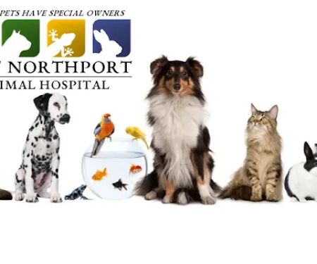East Northport Animal Hospital