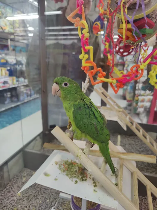 Petco Picture 2