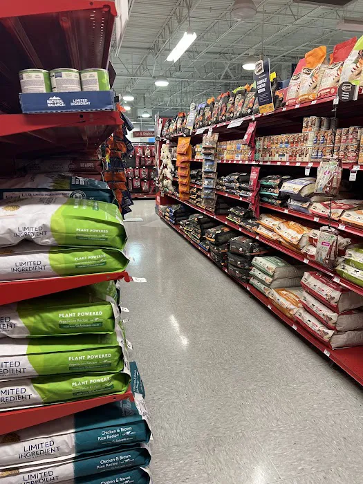 Petco Picture 3