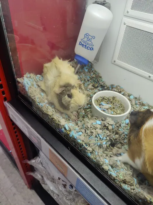 Petco Picture 4