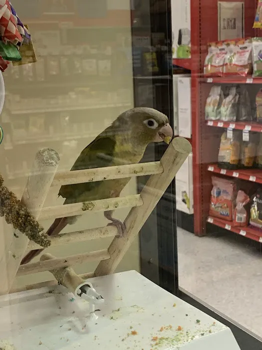 Petco Picture 6