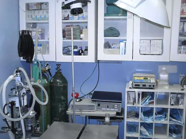 Babylon Animal Hospital Picture 4