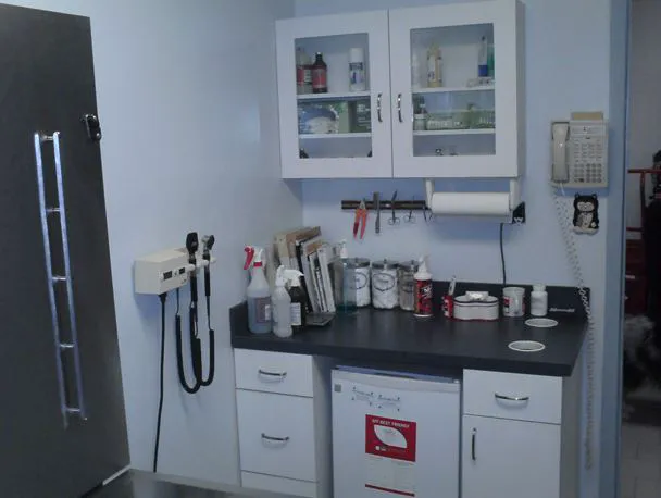 Babylon Animal Hospital Picture 10