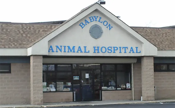 Babylon Animal Hospital Picture 3