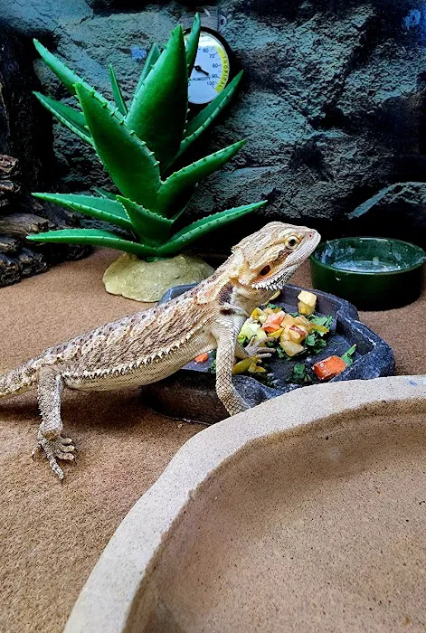 Petco Picture 9